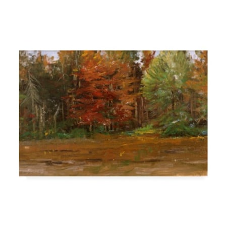Michael Budden 'Autumn Colored Trees' Canvas Art,30x47